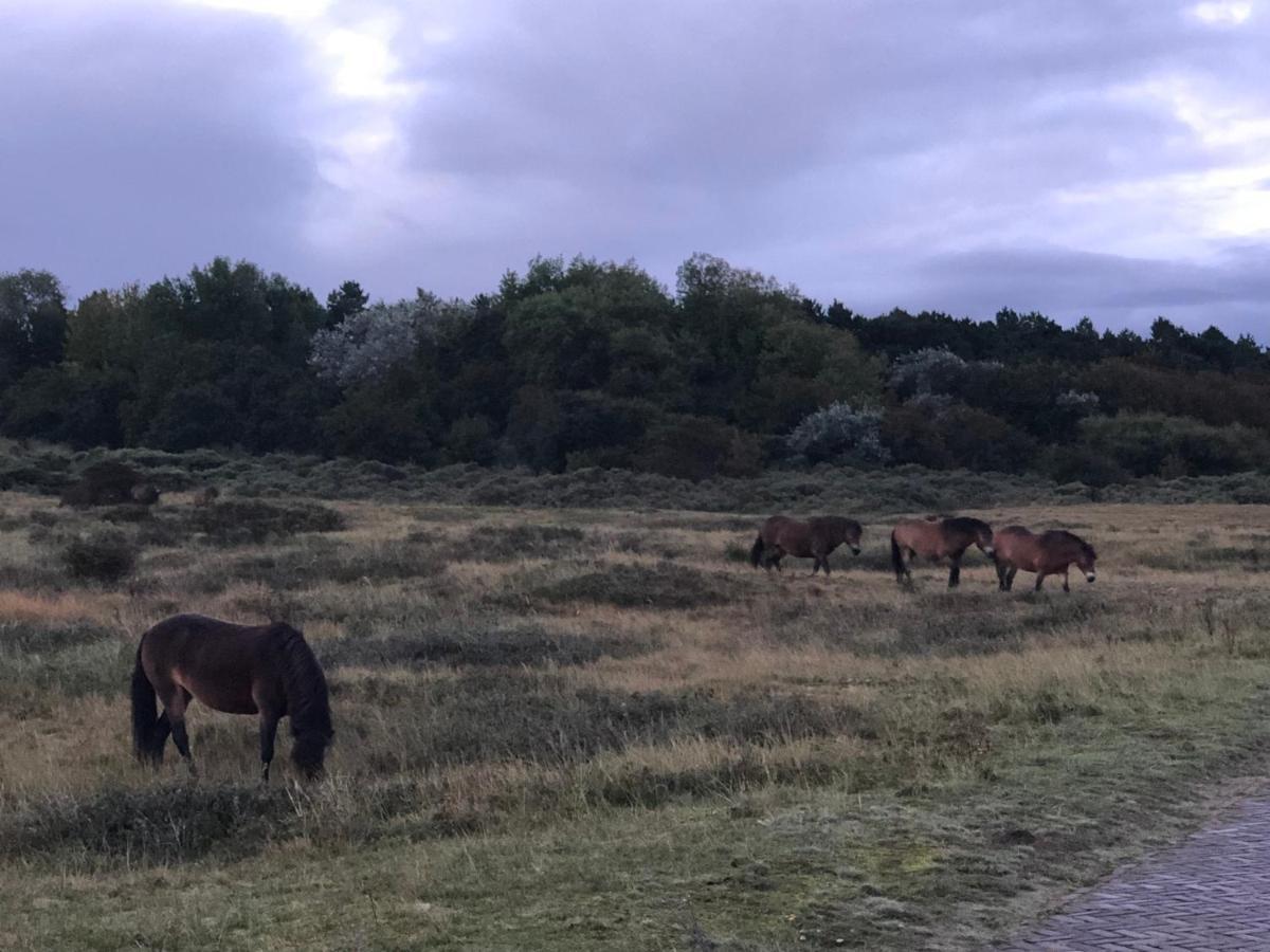 Familiehuis Achter De Duijnhoeve Zuidbakkum Kültér fotó