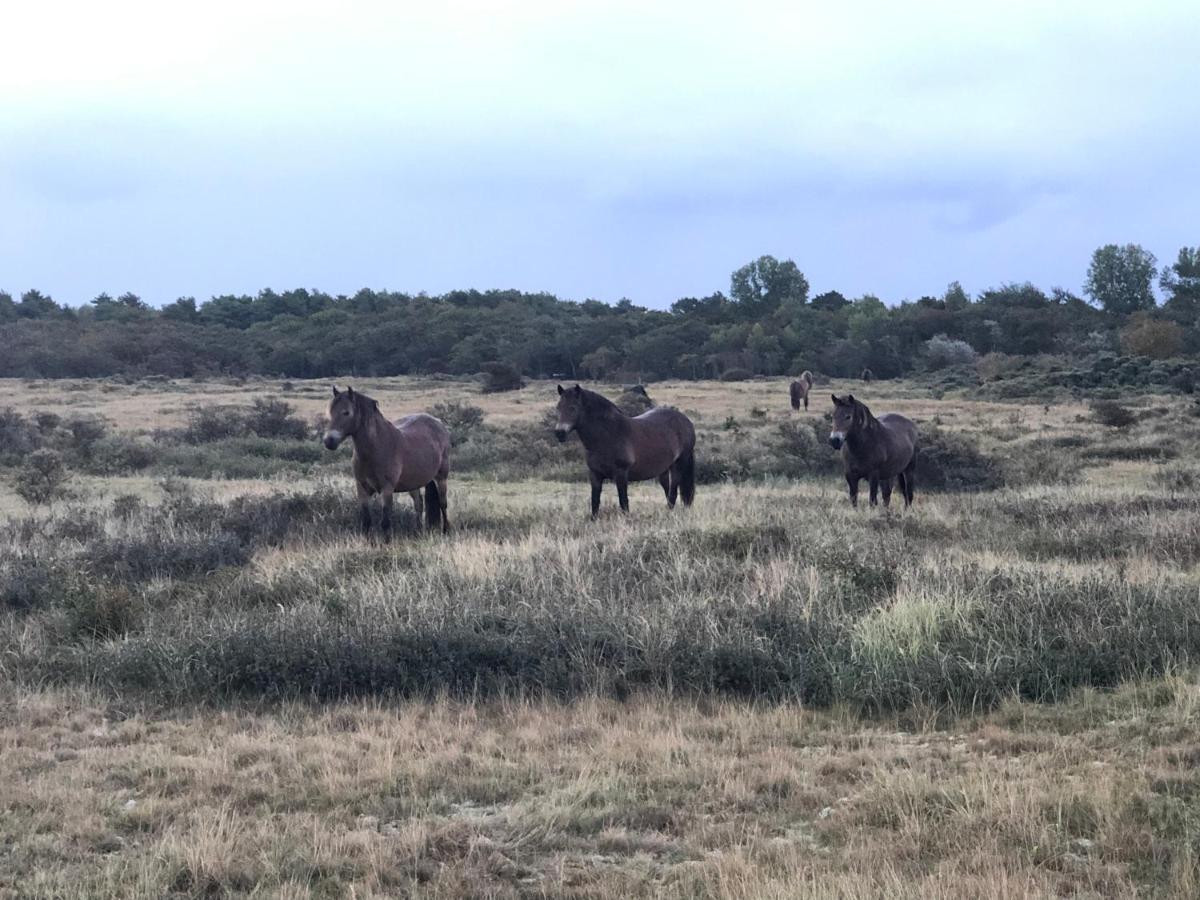 Familiehuis Achter De Duijnhoeve Zuidbakkum Kültér fotó